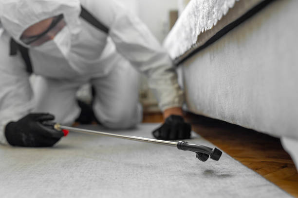 Professional Termite Control technician working in Ambridge, PA