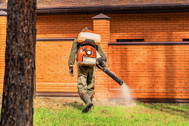 Trusted Emergency Pest Control service in Ambridge, PA - Nex Pest Control